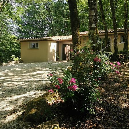 Villa Gite La Borie Du Bois Sarlat à Saint-Andre-d'Allas Extérieur photo