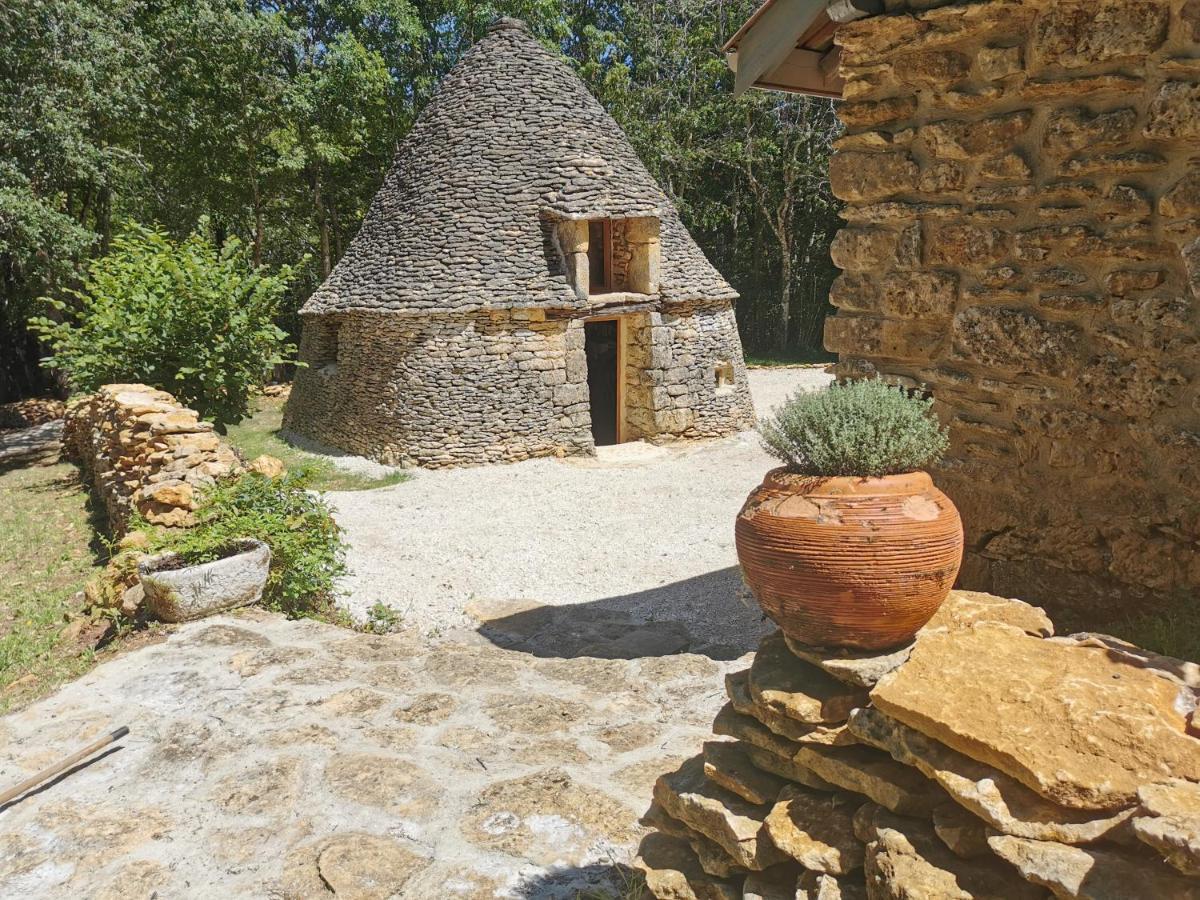 Villa Gite La Borie Du Bois Sarlat à Saint-Andre-d'Allas Extérieur photo