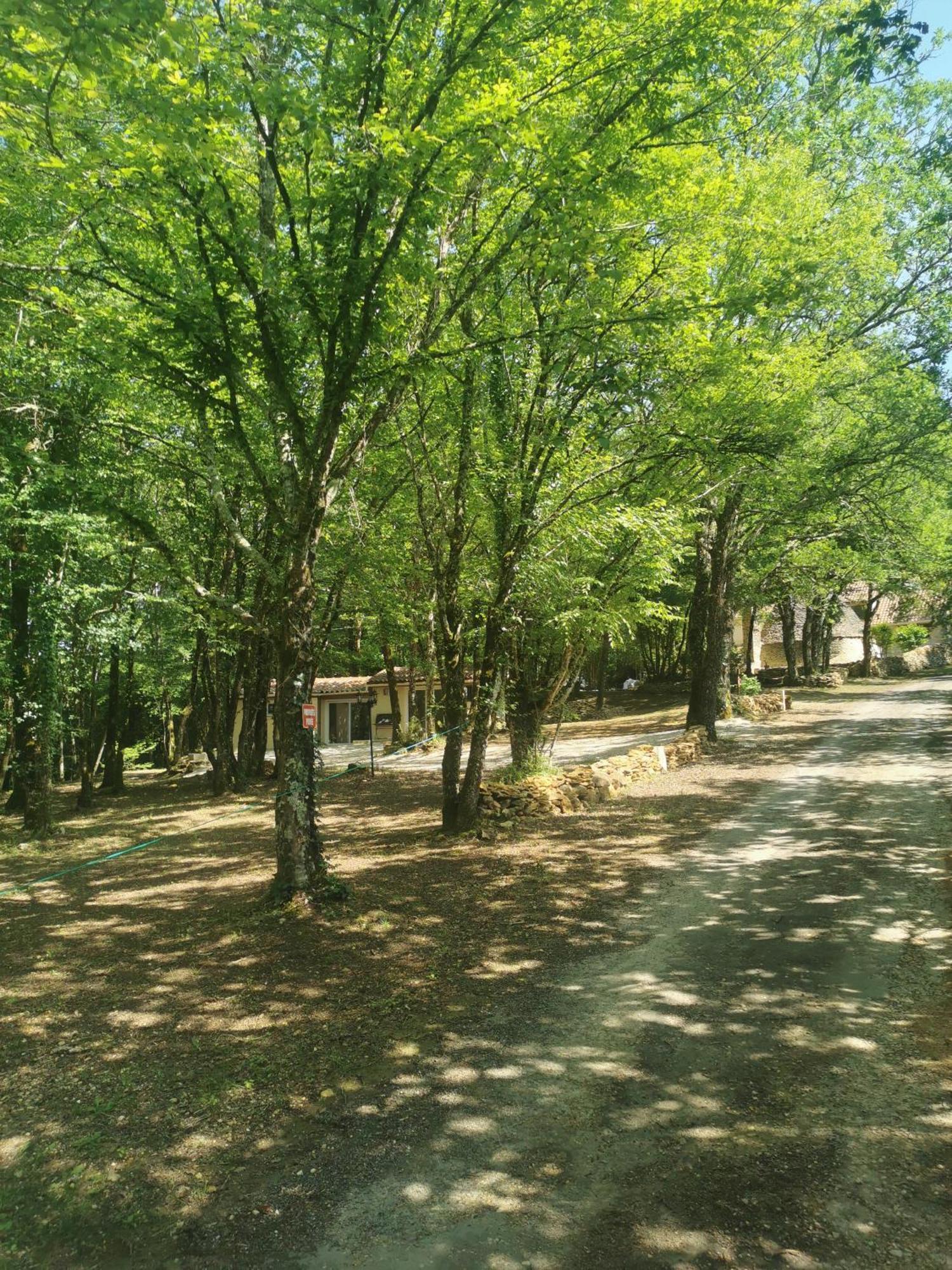 Villa Gite La Borie Du Bois Sarlat à Saint-Andre-d'Allas Extérieur photo